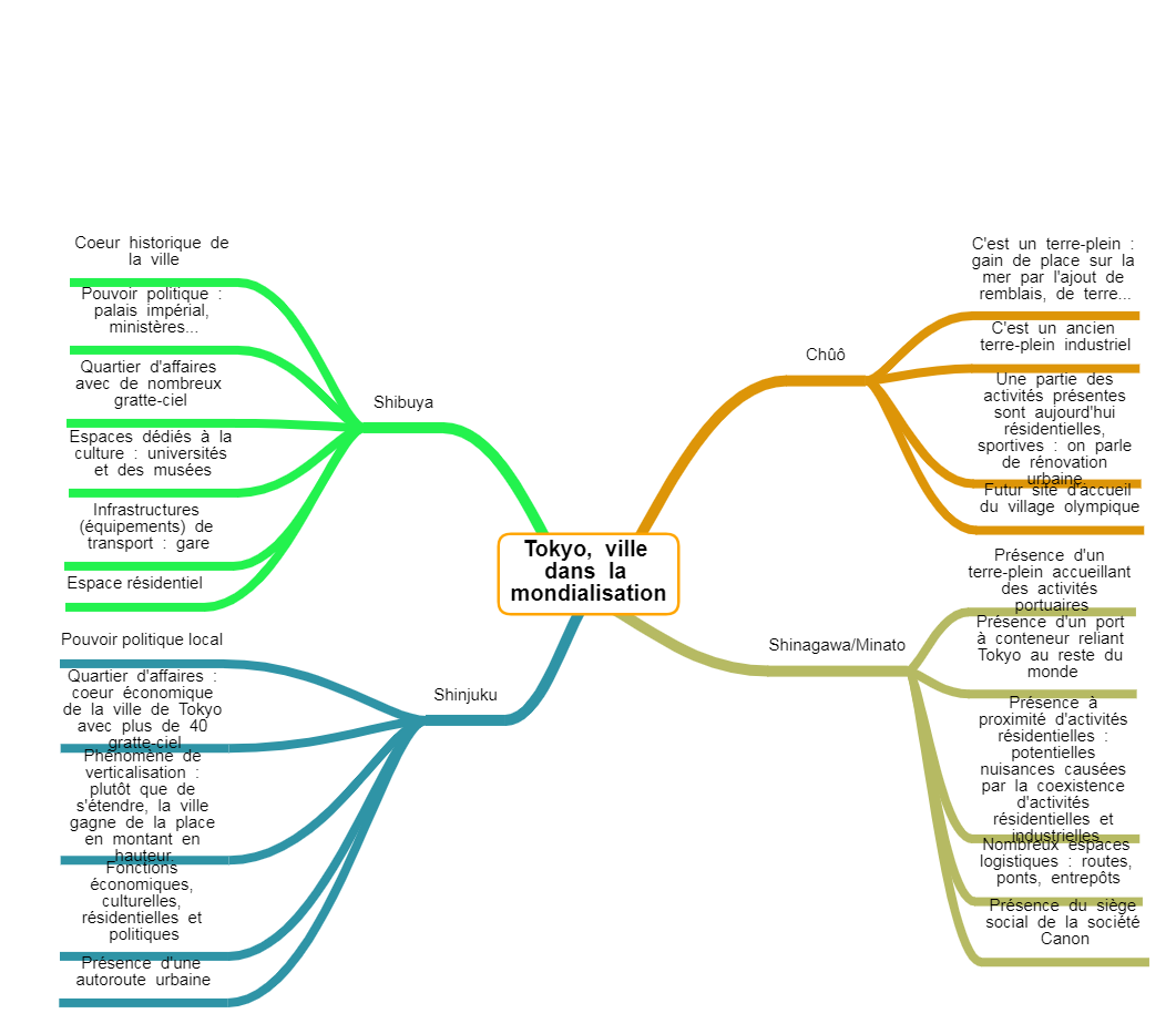 Carte Mentale Détroit La Ville Qui Rétrécit